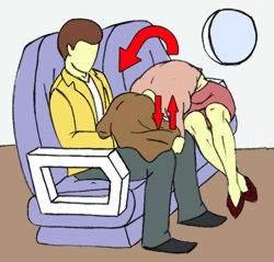 Airplane Sex Guide